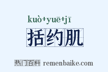 括约肌是什么意思的图片